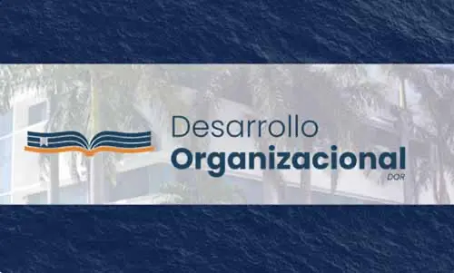 Desarrollo Organizacional